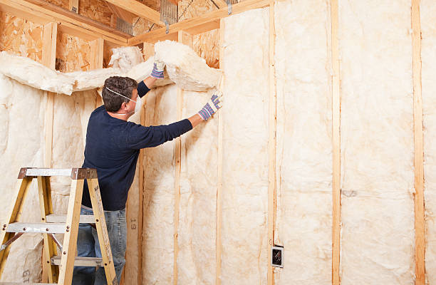 Best Soundproof Insulation in Cassville, MO